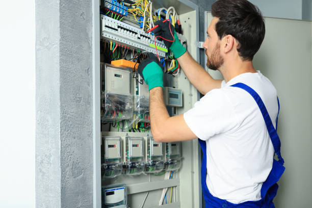 Best Electric Panel Repair  in Edmonton, KY